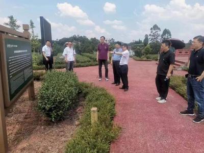 四川省科技與藝術(shù)融合發(fā)展促進(jìn)會(huì)三茶統(tǒng)籌譜新篇 赴省茶業(yè)集團(tuán)構(gòu)畫(huà)文化科技賦能新圖景